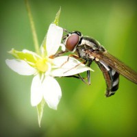 /album/tufectspinrun/photolia-a02-jpg/