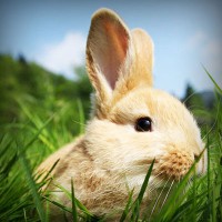 /album/tufectspinrun/photolia-a03-jpg/