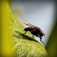 /album/tufectspinrun/photolia-a04-jpg/