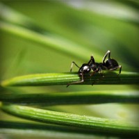 /album/tufectspinrun/photolia-a05-jpg/