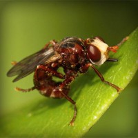 /album/tufectspinrun/photolia-a06-jpg/