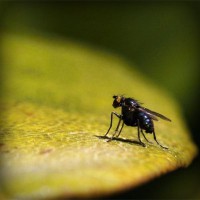 /album/tufectspinrun/photolia-a07-jpg/