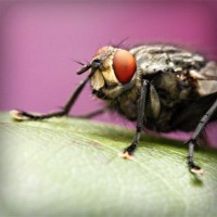 /album/tufectspinrun/photolia-a08-jpg/